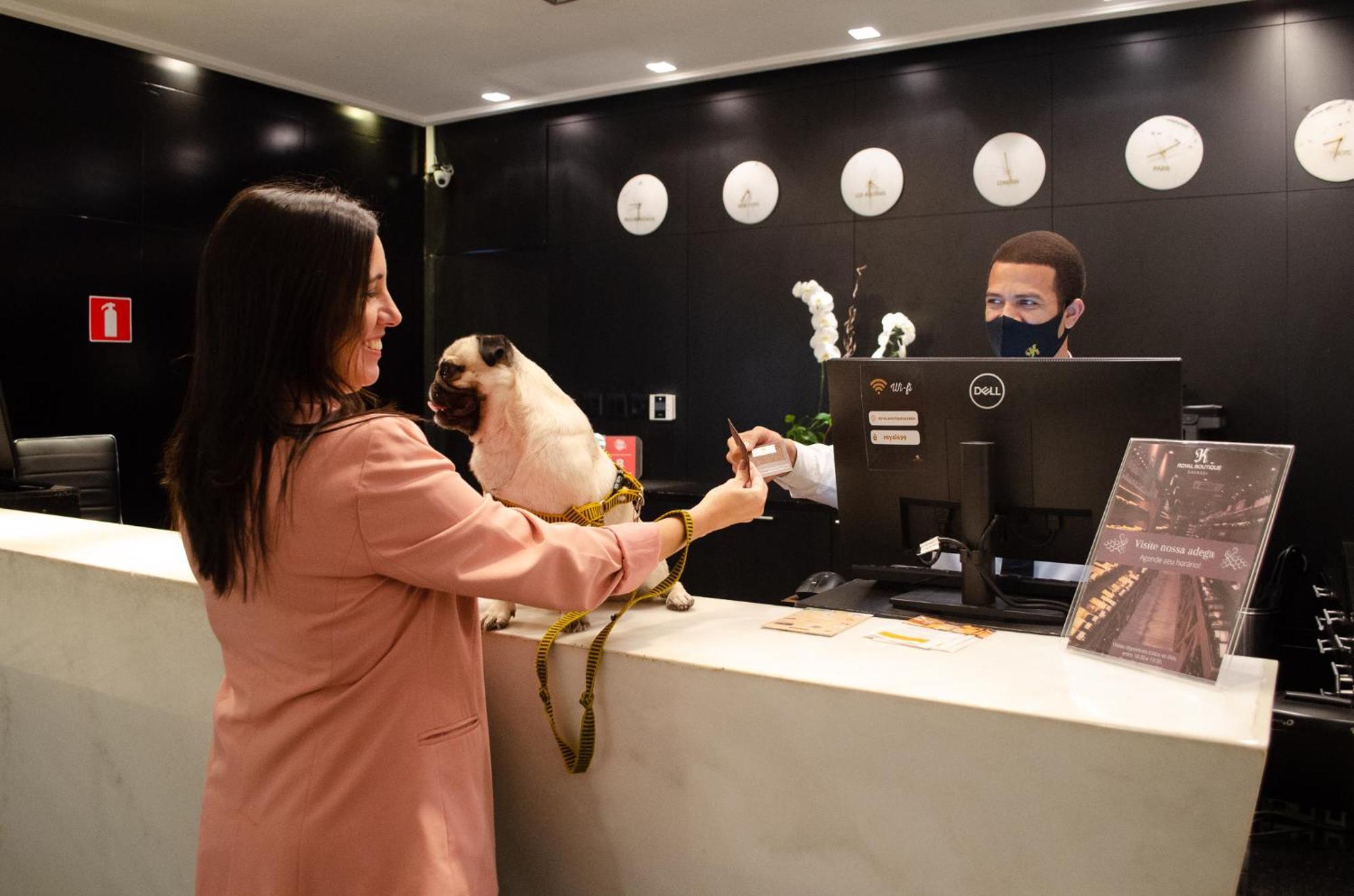 Royal Boutique Savassi Hotel بيلو هورزونتي المظهر الخارجي الصورة A woman checking in at a hotel with her dog